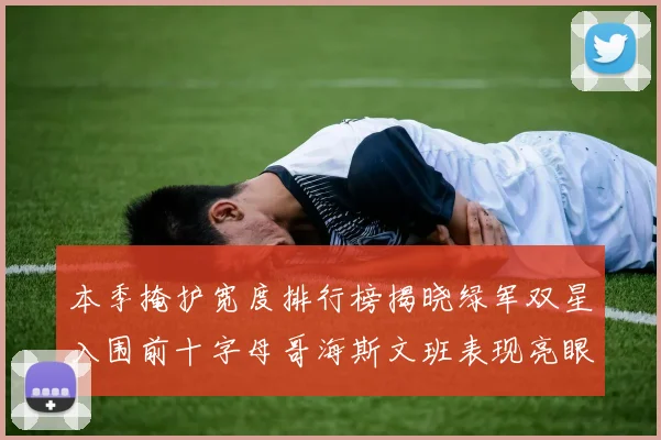本季掩护宽度排行榜揭晓绿军双星入围前十字母哥海斯文班表现亮眼