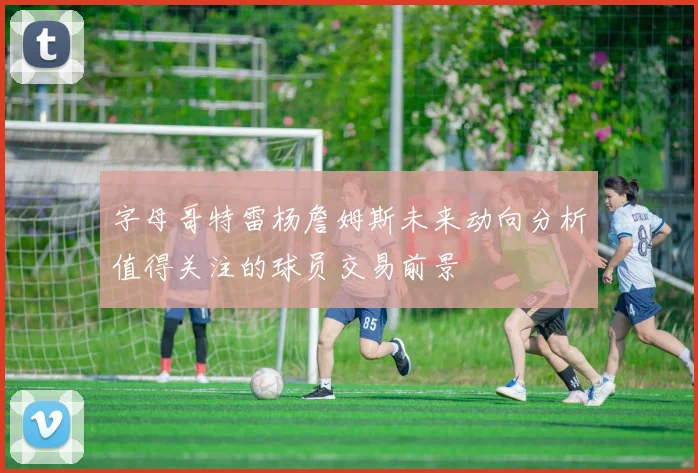 字母哥特雷杨詹姆斯未来动向分析值得关注的球员交易前景