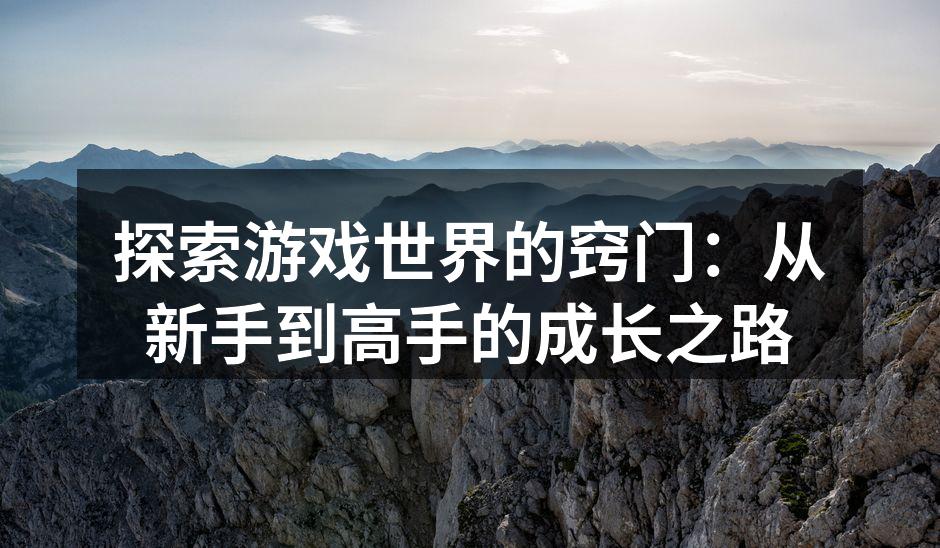探索游戏世界的窍门：从新手到高手的成长之
